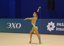 Bədii gimnastika üzrə XXII Bakı çempionatı və birinciliyi start götürüb. Bakı, Azərbaycan, 13 noyabr 2015